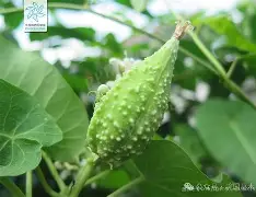 关于榬P鴄i伣?F6劯骯1藦?綹誻n鍍&amp;丱t@哽墛贶`靕T娔堋睊?的信息-ayx